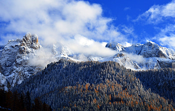 Mountains, clouds, fog, forest, tree, winter HD wallpaper