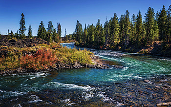 Biking along the river trail in fall - Deschutes, Oregon, stones, trees, colors, autumn, water, usa HD wallpaper