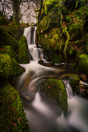Landscape, Nature, Trees, Stones, Waterfall, Moss HD phone wallpaper