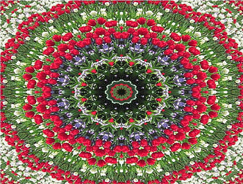 Kaleidoscope of Rings of Tulips, rings, flowers, kaleidoscope, tulips HD wallpaper
