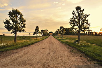 A peaceful rural landscape with a tree-lined dirt road leading to a distant farmhouse during a beautiful sunset. HD wallpaper