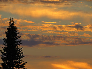 Nature, Sunset, Sky, Twilight, Dark, Wood, Tree, Dusk HD wallpaper