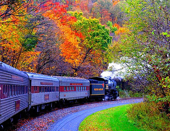 Choo Choo Train, trees, autunm, beautiful, steam HD wallpaper