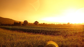 Beautiful farm , Stunning backgrounds, Idyllic countryside, Farm beauty HD wallpaper