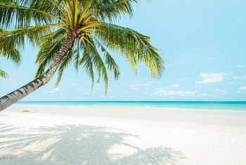 : Tropical Ocean Horizon, horizon, nature, ocean HD wallpaper