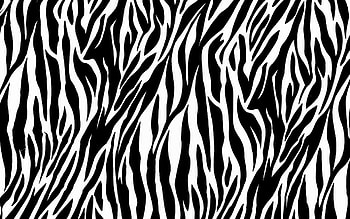 Zebra Print HD wallpaper