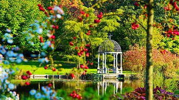 Dorset Gardens, England, flowers, water, reflections, gazebo, trees, uk HD wallpaper