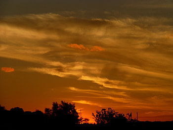Heaven's Path, clouds, trees, sky, sunset HD wallpaper