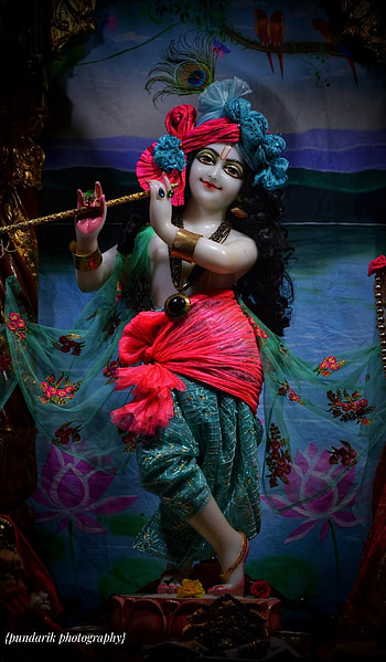 Jai Shree Krishna, Cute Krishna HD phone wallpaper