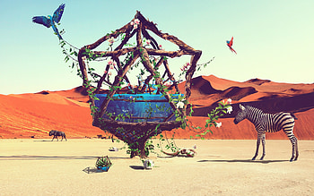 Desert Art Ziraffe, desert, art, artist, ziraffe, animals, digital-art HD wallpaper