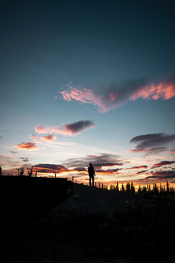 Nature, Sunset, Clouds, Usa, Silhouette, United States, Loneliness, Elevation, Healy HD phone wallpaper