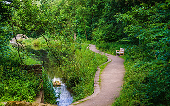 Nature, Trees, Path, Trail, Bench HD wallpaper