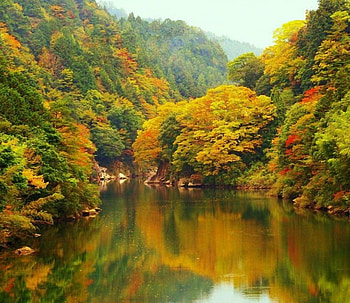 Japanese Autumn Landscape, reflection, trees, colors, autumn, forests, nature, lake HD wallpaper
