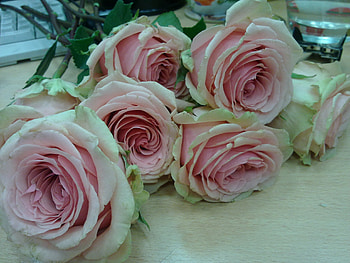 Flowers, Roses, Petals, Bouquet, Table, Buds HD wallpaper