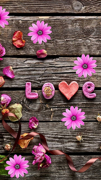 Love, flower, heart, holiday, love, Valentine's Day HD phone wallpaper