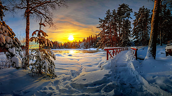 Winter sunset, winter, frost, snow, cold, bridge, beautiful, sky, sunset HD wallpaper