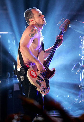 Flea, Red Hot Chili Peppers, Bassist, Musician Profile HD phone wallpaper