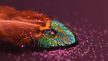 Glittery enchantment, Shimmering magic, Dazzling shine, Mesmerizing allure HD wallpaper