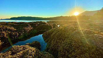 Mussel Beach near Ucluelet on Vancouver Island, British Columbia, sea, trees, landscape, sky, canada, sun, sunrise HD wallpaper