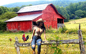 Break Time, brunettes, fence, hats, cowgirls, barn, ranch HD wallpaper