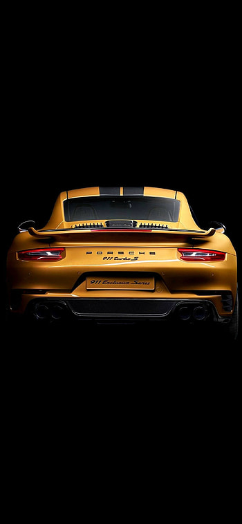 Porsche 911 , Stunning beauty, Lion HD phone wallpaper