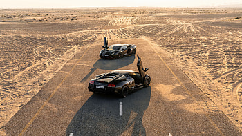Lamborghini Murcielago Sv And Lamobrghini Aventador, lamborghini, lamborghini-murcielago, cars HD wallpaper