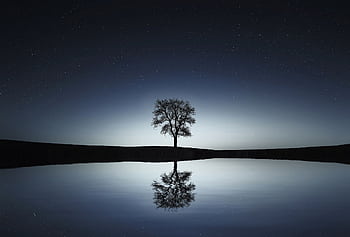 A solitary tree reflects in a tranquil lake under a starry night sky, creating a serene landscape. HD wallpaper