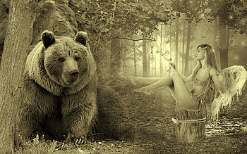 My Teddy Bear, forrest, fantasy, bear, woman HD wallpaper