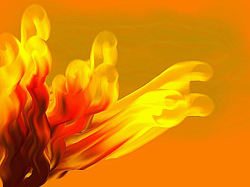 none HD wallpaper