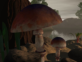 The Mushrooms, shore, hills, mushrooms, forest, lake HD wallpaper