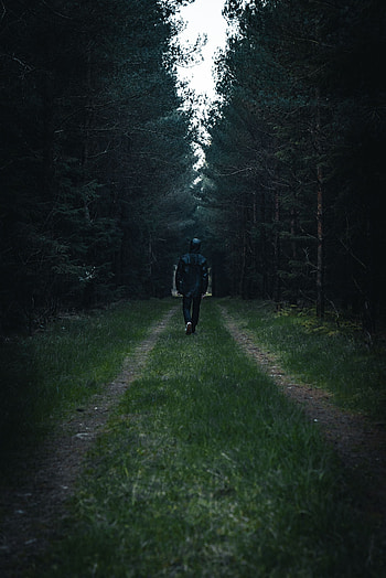 Trees, Miscellanea, Miscellaneous, Road, Forest, Human, Person, Loneliness, Glade, Clearing HD phone wallpaper