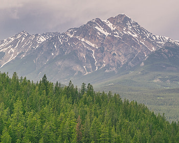 Nature, Trees, Mountains, Dahl, Distance, Hill HD wallpaper