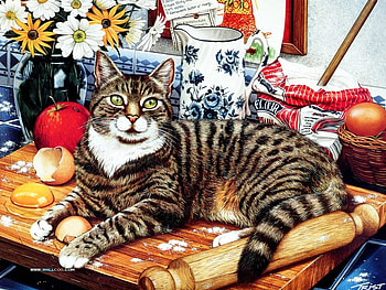 Cat, table, flowers, pitcher HD wallpaper