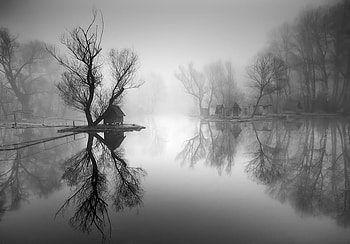 through_the_misty_air, morning, fogs, house, trees, nature, reflections HD wallpaper
