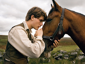 War Horse, Intense war scenes, Horse's perspective, Powerful storytelling HD wallpaper
