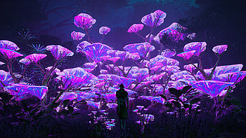 The Mushroom World, artist, artwork, digital-art, artstation HD wallpaper
