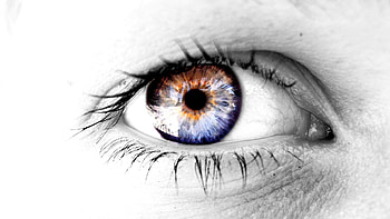 lively eyes, eyes, mind, abstract, beauty HD wallpaper