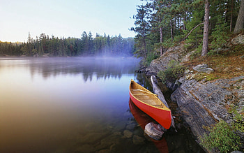 Nature, Shore, Bank, Forest, Fog, Boat HD wallpaper