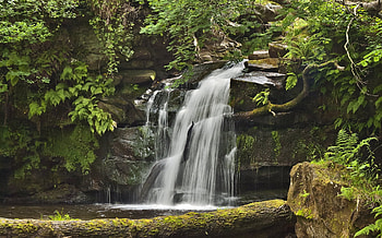 Plants, Landscape, Nature, Rocks, Waterfall HD wallpaper