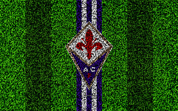 ACF Fiorentina, soccer, logo, football, emblem HD wallpaper