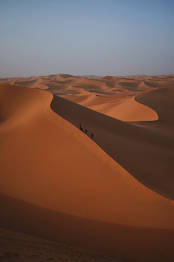 Stunning view of sand dunes under a clear blue sky in Algeria. HD phone wallpaper
