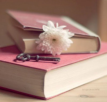 Key to Knowledge, books, white, key, knowledge, flower HD wallpaper