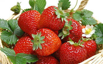 Fruits, Food, Strawberry, Berries HD wallpaper