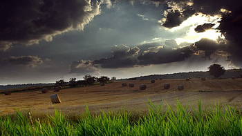 hay bails in the field, field, clouds, hay, bails, sun HD wallpaper