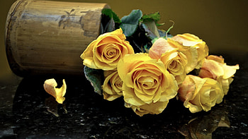 Flowers, Roses, Reflection, Cup, Bouquet, Mug HD wallpaper
