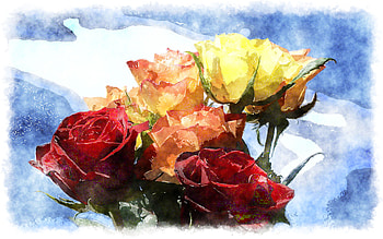 bouquet for nine55rose, watercolor, bouquet, colourful, roses HD wallpaper