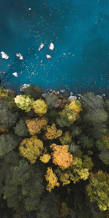 Great Barrier Reef, Breathtaking environment, Marine biodiversity, Underwater paradise HD phone wallpaper