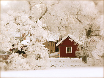 red house in frosted woods, winter, woods, snow, house, red, nature, frosted HD wallpaper