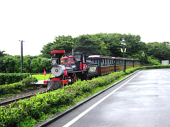 Forest train, ecological, train, forest, park HD wallpaper