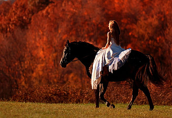 FRIENDS GOING HOME, horse, autum, woman, lady, field, road, ride, friendship, friends HD wallpaper